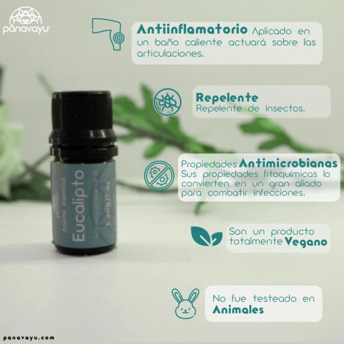 Kit Aceites Esenciales Purificación y Vías Respiratorias