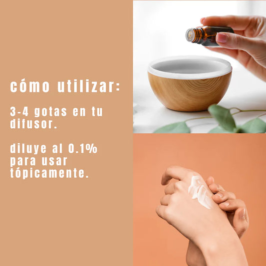 Aceite Esencial de Canela